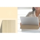 Чехол Rock Touch series для iPad mini 4 Gold